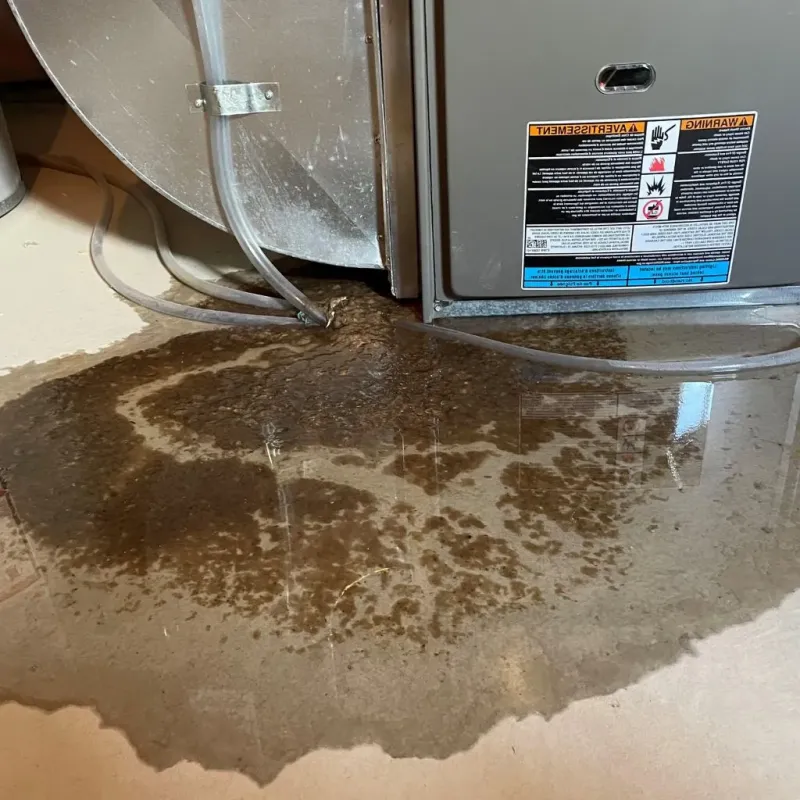 Pipe Burst and Leak Restoration in Cazenovia, NY